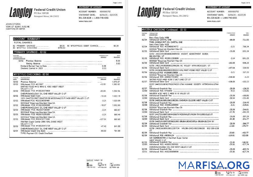 Realistic USA Langley Federal Credit Union bank statement word 6 pages template